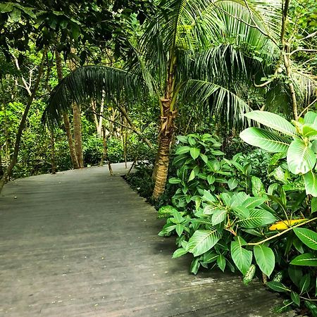 Rayshiva Homestay ウブド エクステリア 写真